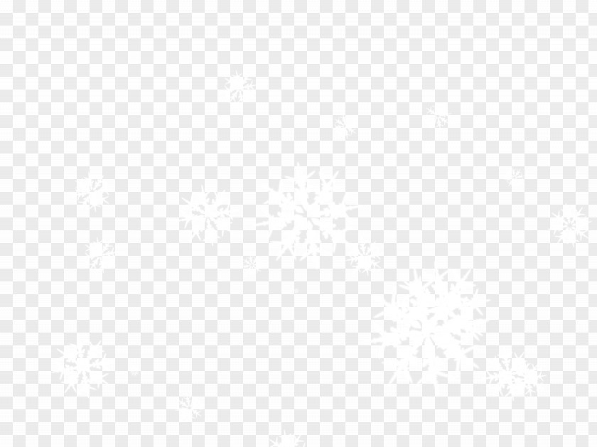 Snowflake White Symmetry Black Pattern PNG