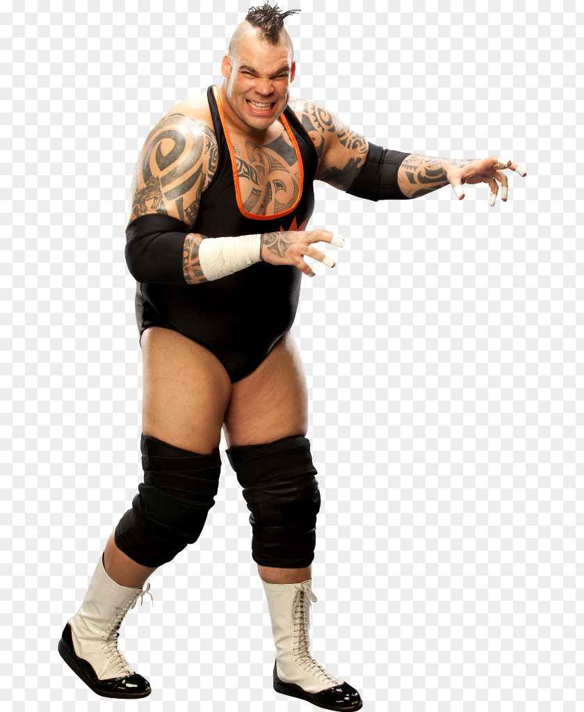 Tyrus WWE '13 Raw WrestleMania Elimination Chamber PNG Chamber, wwe clipart PNG