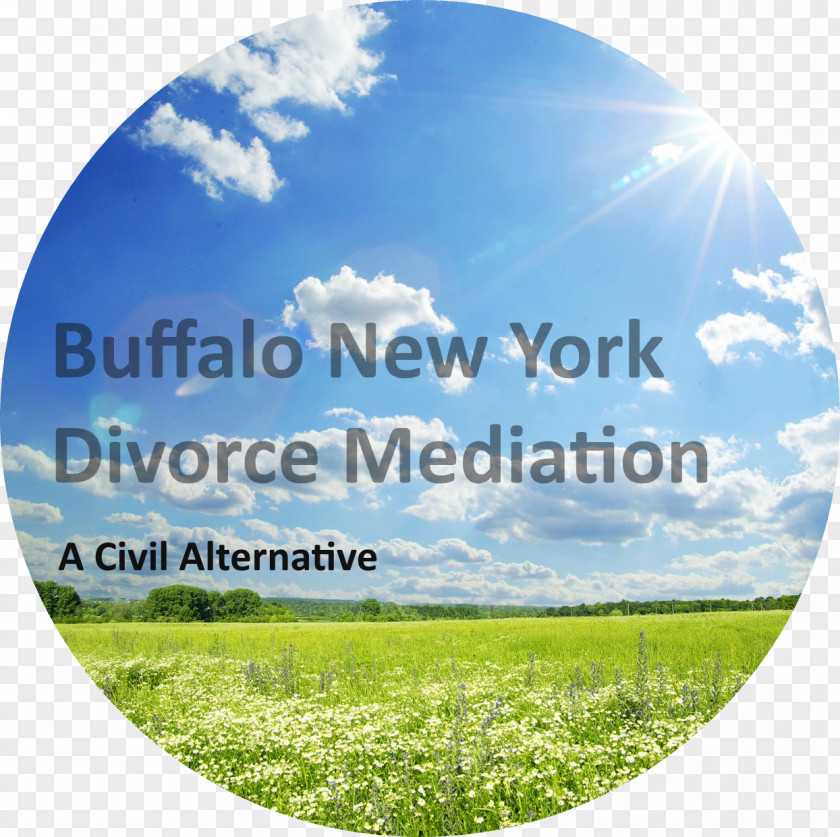 Blasdell Buffalo NY Divorce MediationBuffalo MediationHamburgNotary Mediation PNG