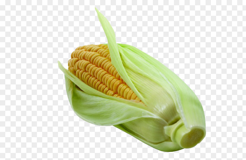 Corn On The Cob Vegetable Maize Napa Cabbage PNG