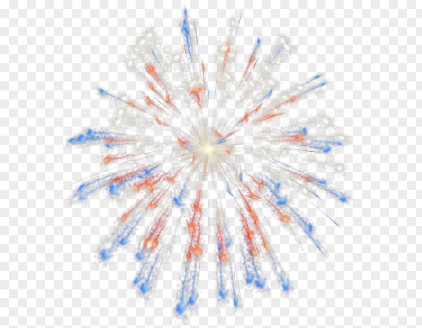 Fireworks Independence Day PNG