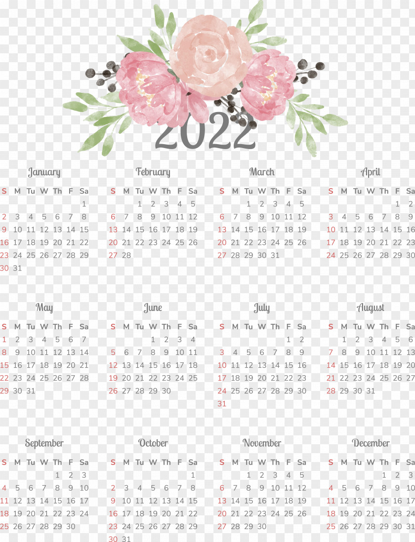 Floral Design PNG