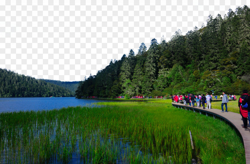 Pudacuo Forest Park Attractions Mount Rainier Potatso National Komodo Grand Canal PNG