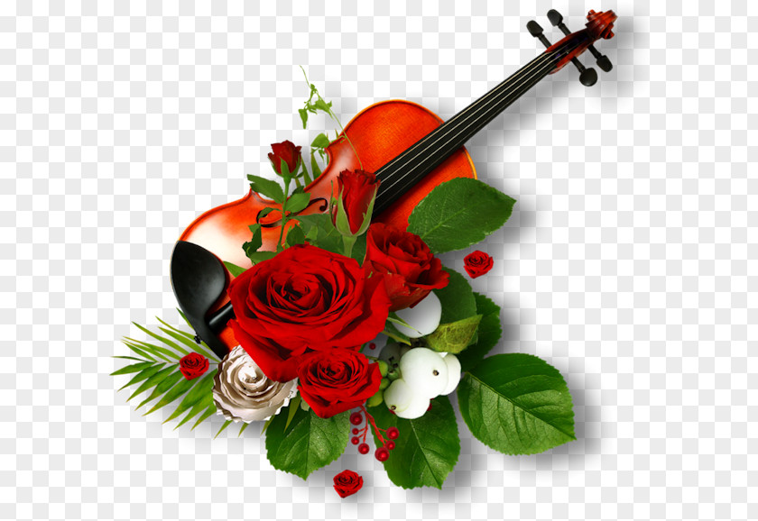 Violin Garden Roses Picture Frames Flower PNG