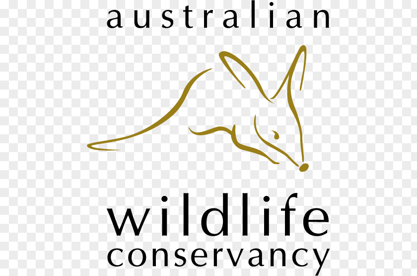 Australia Australian Wildlife Conservancy Scotia Sanctuary Koala PNG