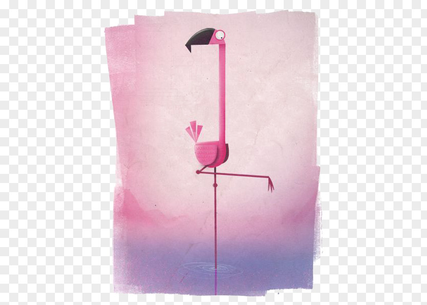 Flamingos Water Bird PNG