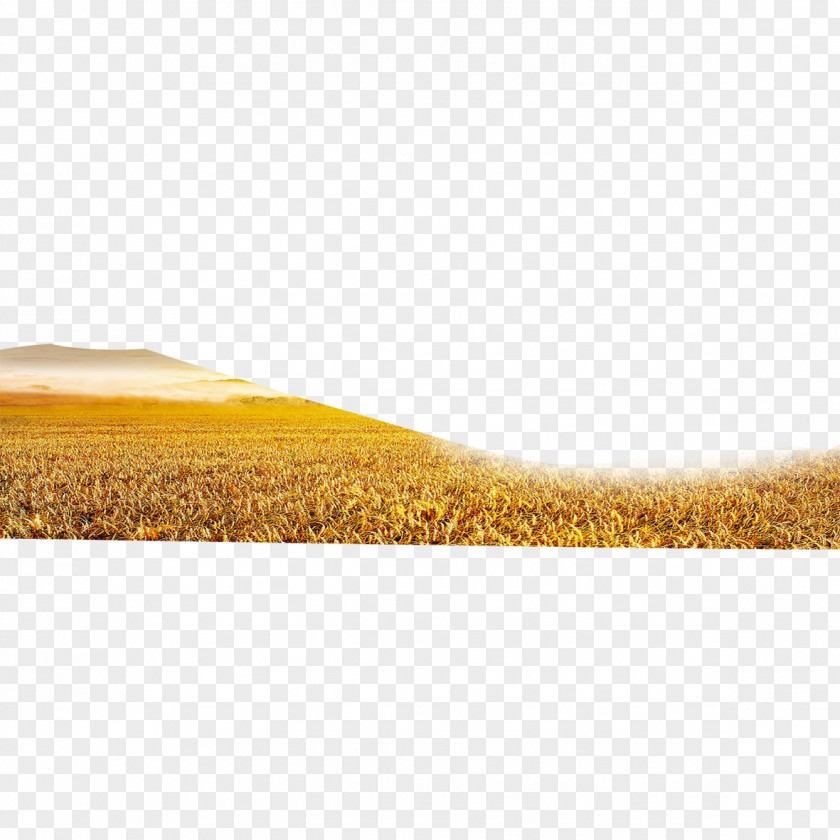 Paddy Field Yellow Flooring Pattern PNG