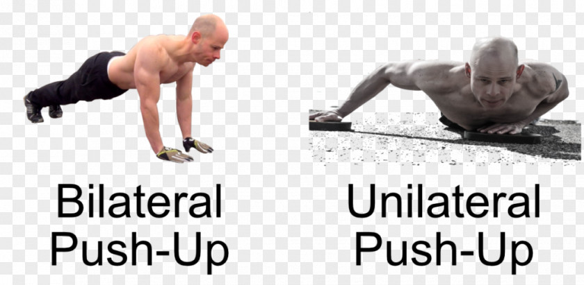 Push Up Unilateralism Calisthenics Bilateralism Muscle Physical Fitness PNG