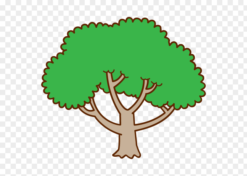 Branch Illustration Clip Art Vector Graphics PNG