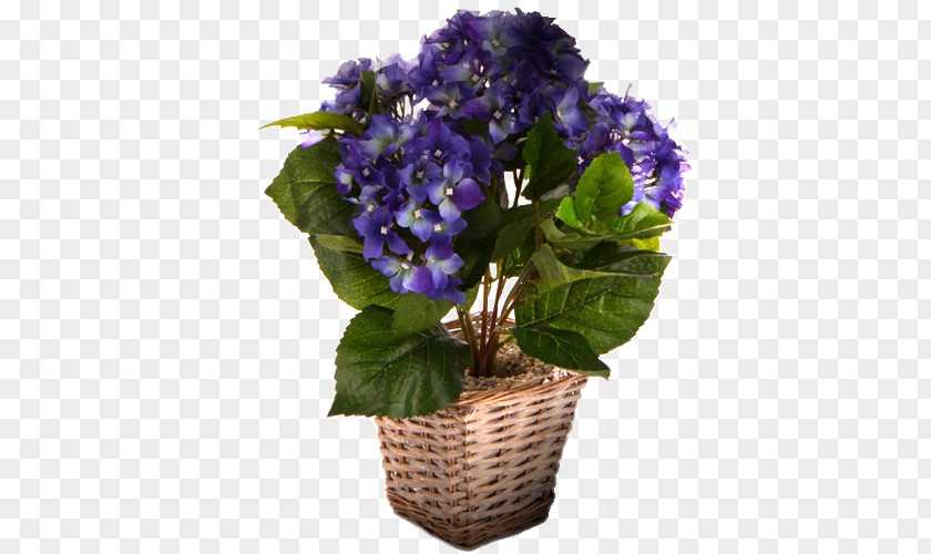 Brush Pot Blue Hydrangea Sweet Violet Flower PNG