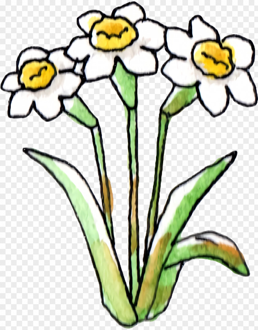 Floral Design PNG