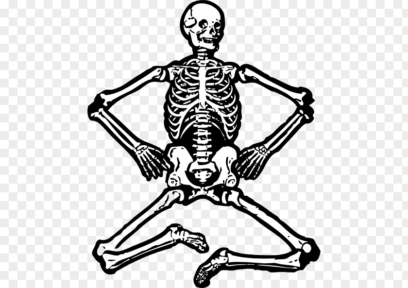 Fun Skeleton Cliparts Human Skull Clip Art PNG