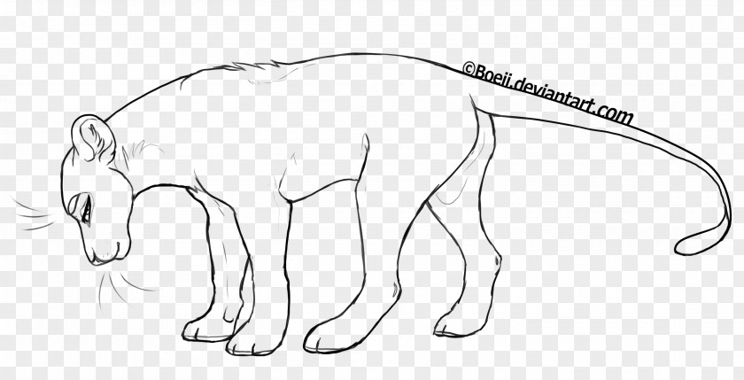 Lion Line Art Drawing Big Cat PNG