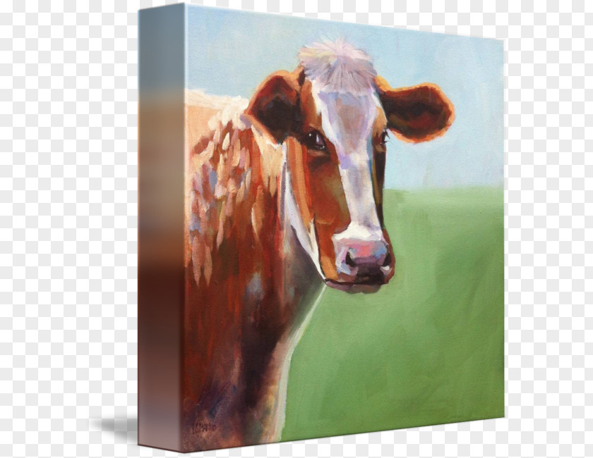 Cow Watercolor Dairy Cattle Calf Painting PNG