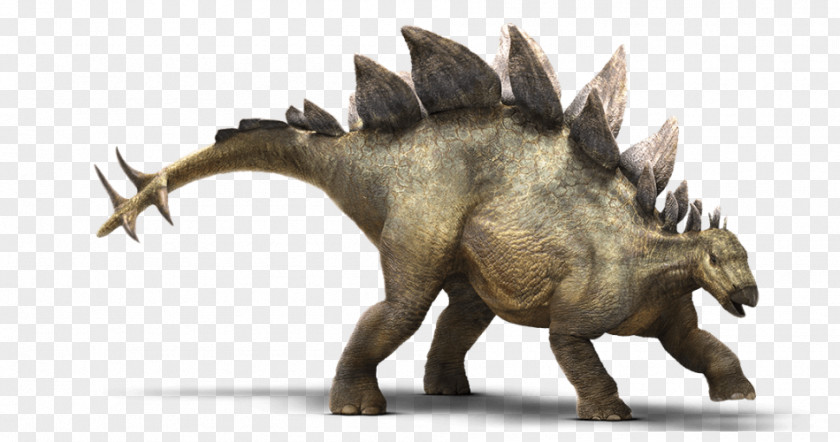 Dinosaur Stegosaurus Tyrannosaurus Jurassic Park Builder Ankylosaurus Triceratops PNG