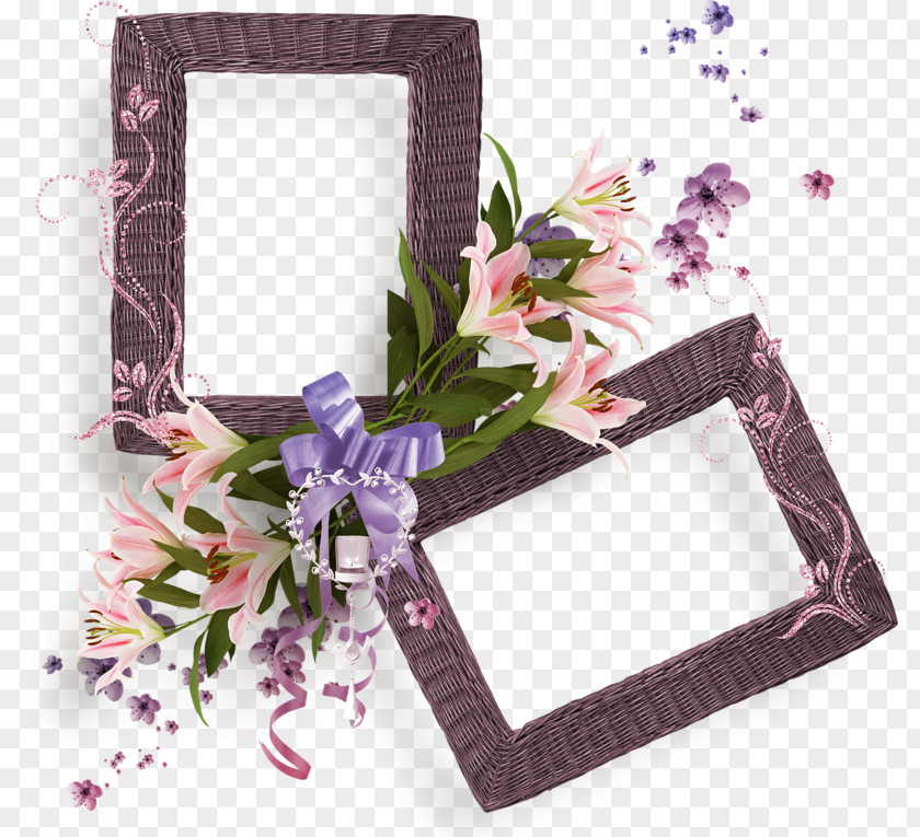 Flower Picture Frames Floral Design PNG