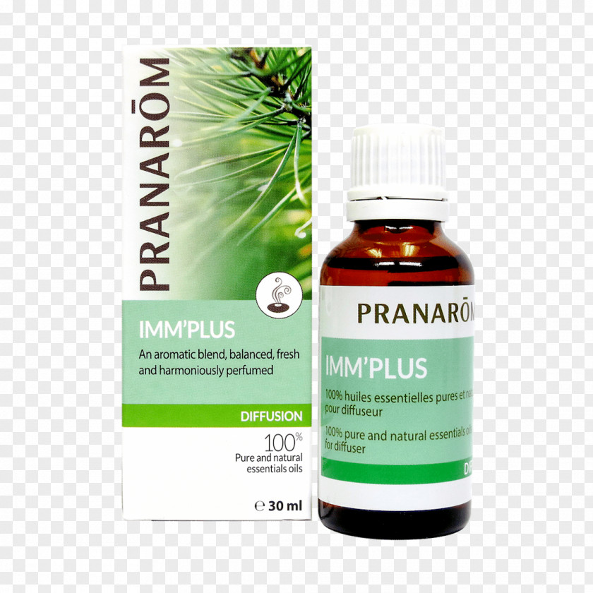 Oil Essential Aromatherapy Carrier Cymbopogon Citratus PNG