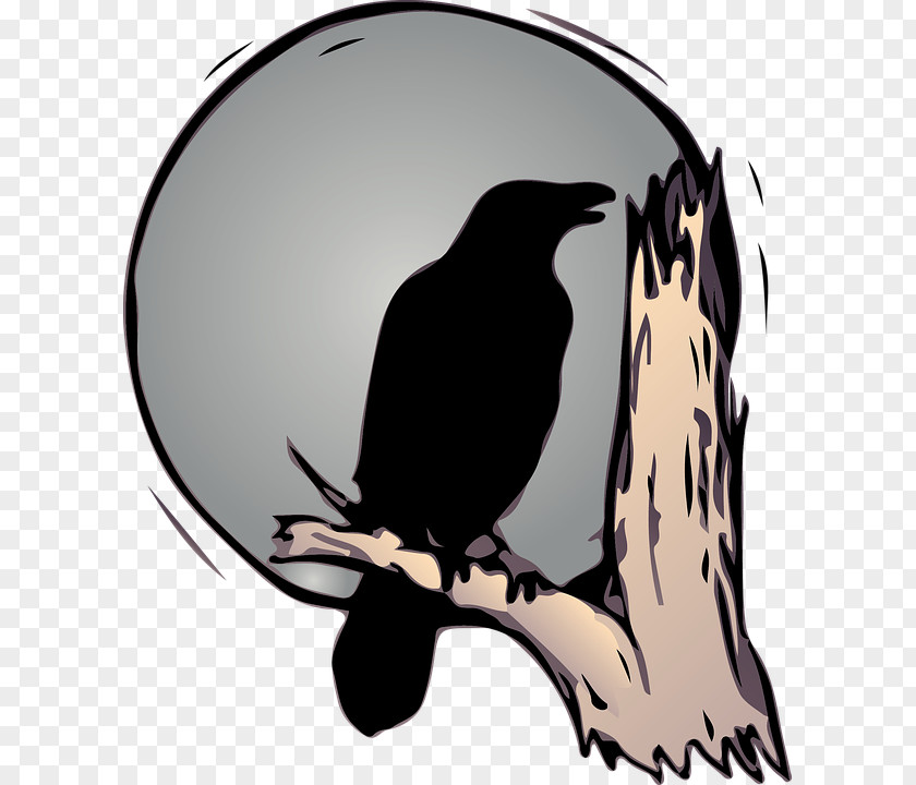 Raven Bird Common American Crow Drawing PNG