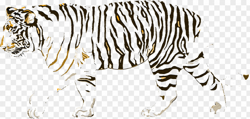 Tail Zebra Lion Drawing PNG