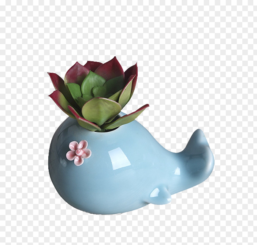 Whale Modeling Small Vase Material Flowerpot Ceramic PNG