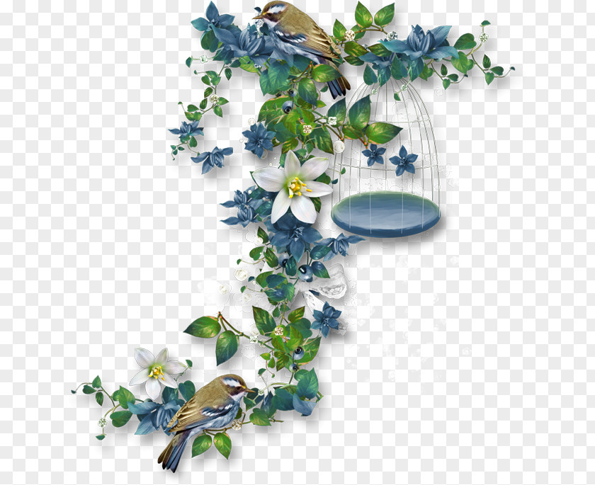 Bird Clip Art PNG