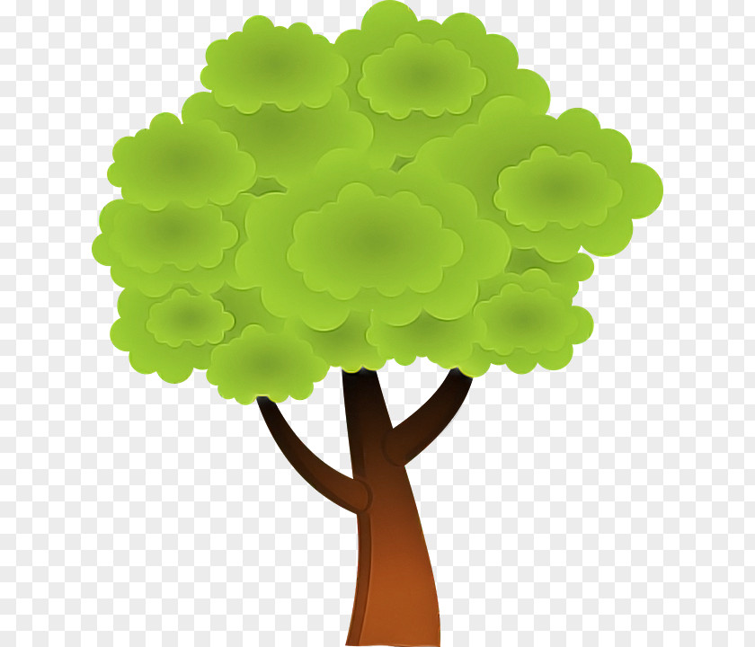Green Tree Leaf Plant Stem PNG