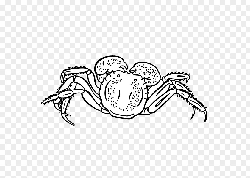 Hand Painted,crab Crab Download Black And White Clip Art PNG