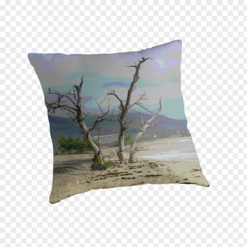 Landscape Certificate Throw Pillows Cushion Branching PNG