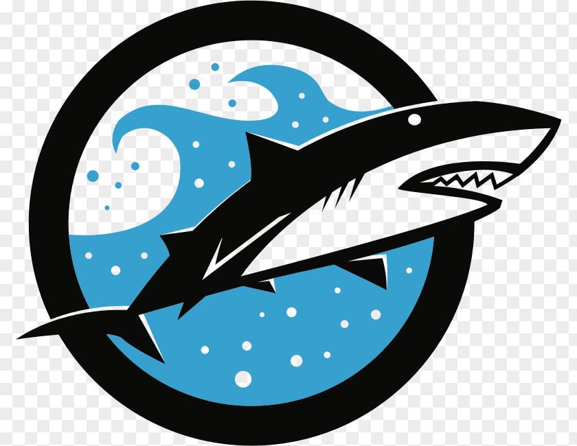 Shark Logo Clip Art PNG