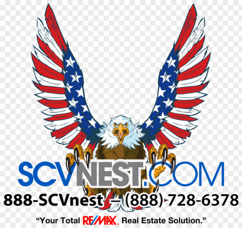 United States Bald Eagle Patriotism Clip Art PNG