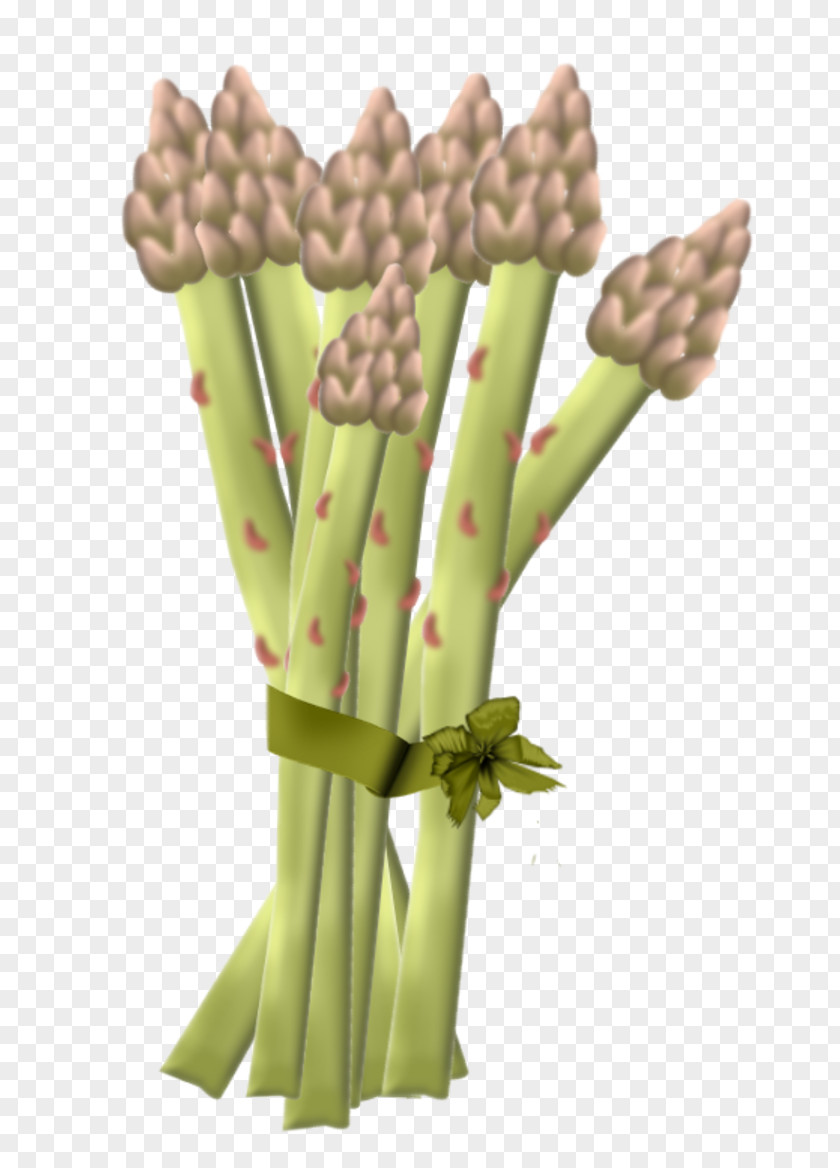 Vegetable Fruit Asparagus 5 A Day PNG