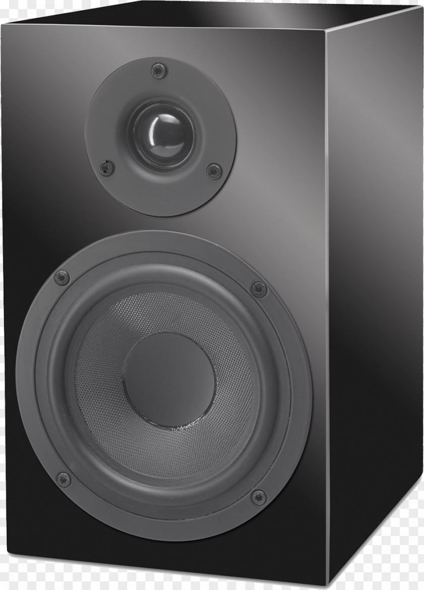 Audio Speaker Loudspeaker Bass Reflex Audiophile Pro-Ject High Fidelity PNG