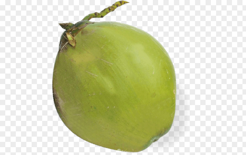 Coconut Husk Tomatillo Fruit PNG