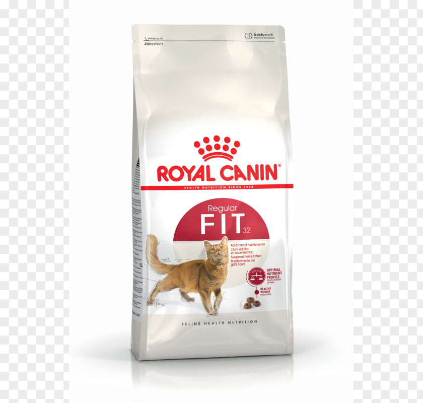 Kitten Cat Food Persian Dog Royal Canin PNG