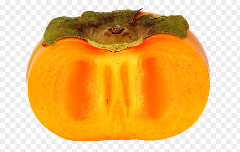 Persimmon Branch Japanese PNG