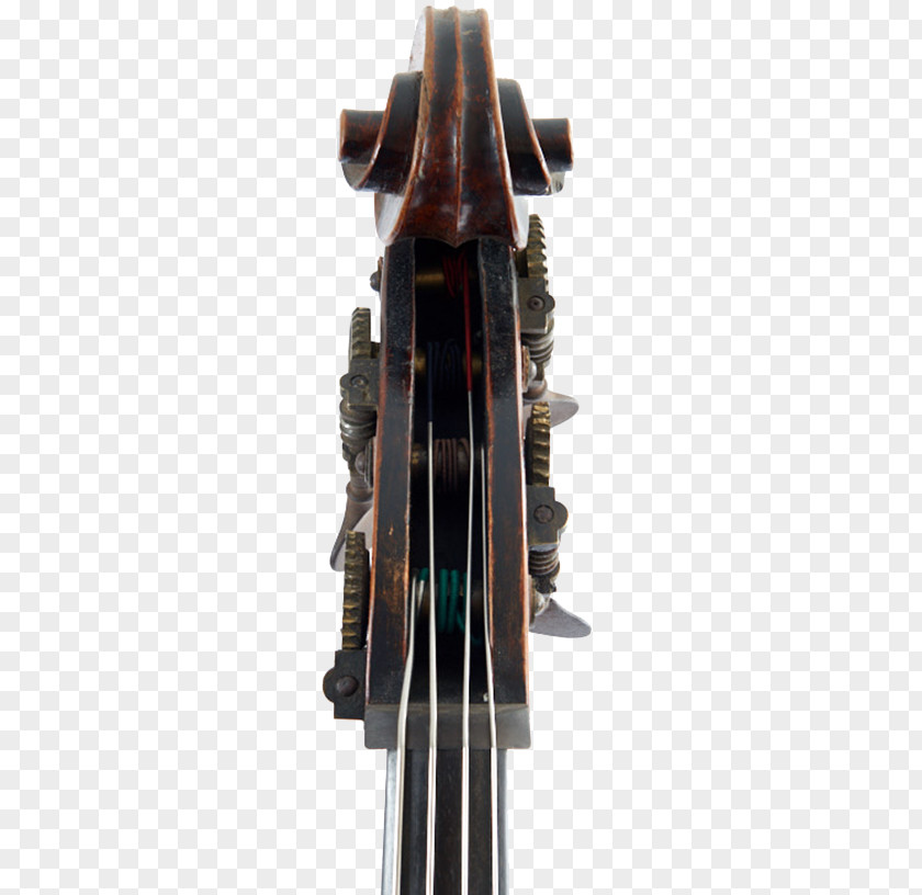 Violin Cello Double Bass Scroll PNG