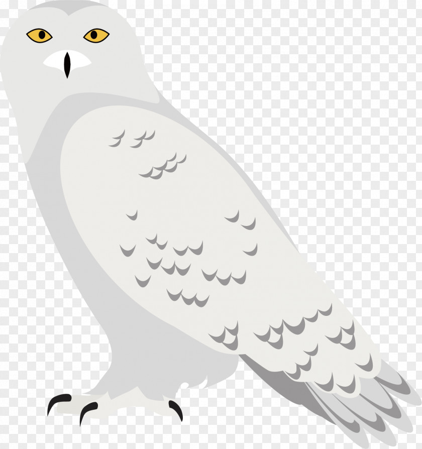 White Eagle Vector Euclidean Black And PNG