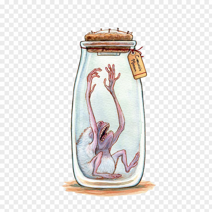 Bottle Legendary Creature Drawing Jar Art PNG