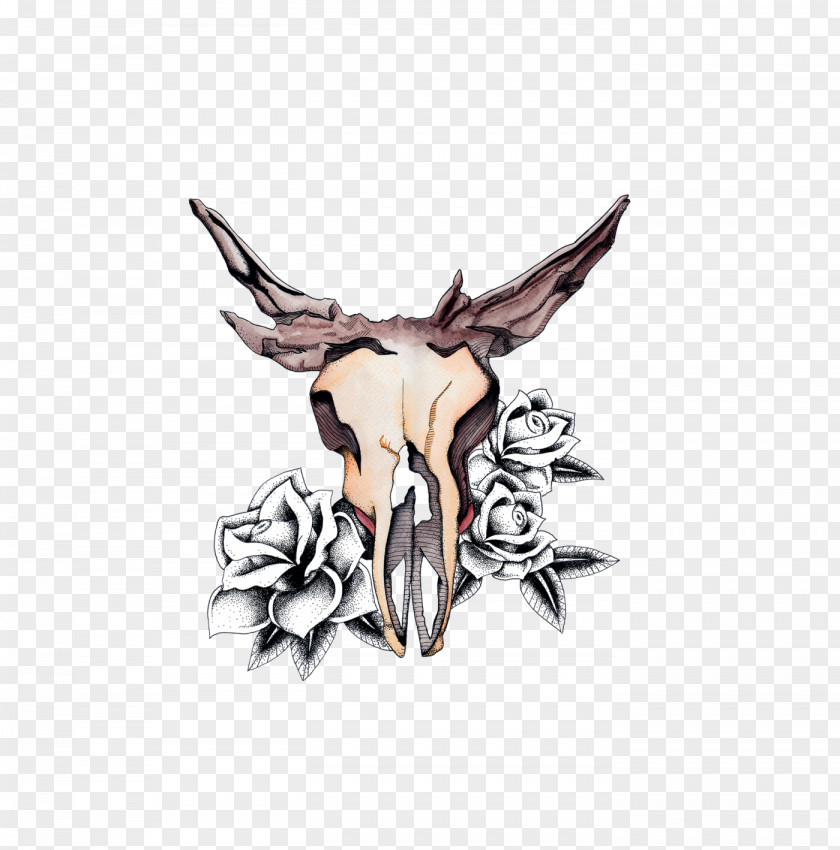 Deer Watercolor Painting Skull Drawing PNG