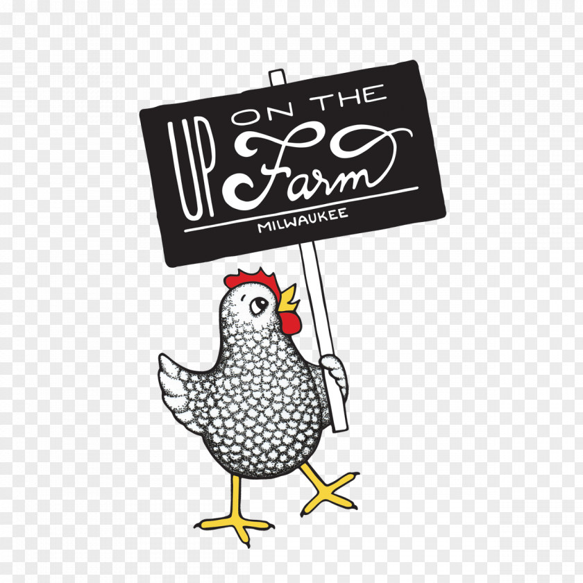 Farm Theme Logo Milwaukee Drawing Chicken Beak Cartoon PNG
