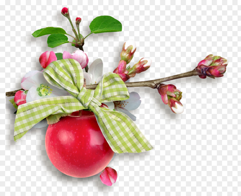 Garden Fruits Lingonberry PNG