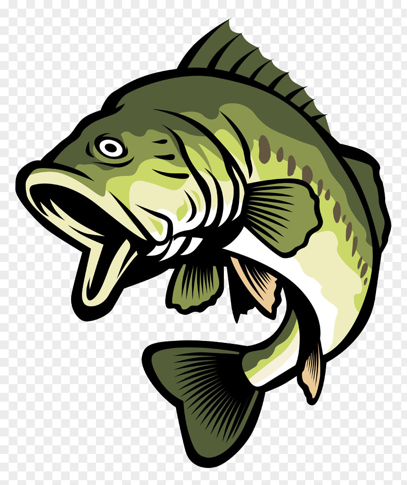 Green Cartoon Fish Bass Stock Illustration Clip Art PNG