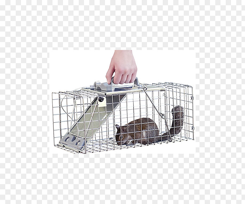 Mouse Trap Trapping Cage Pet Door Dog Havahart PNG