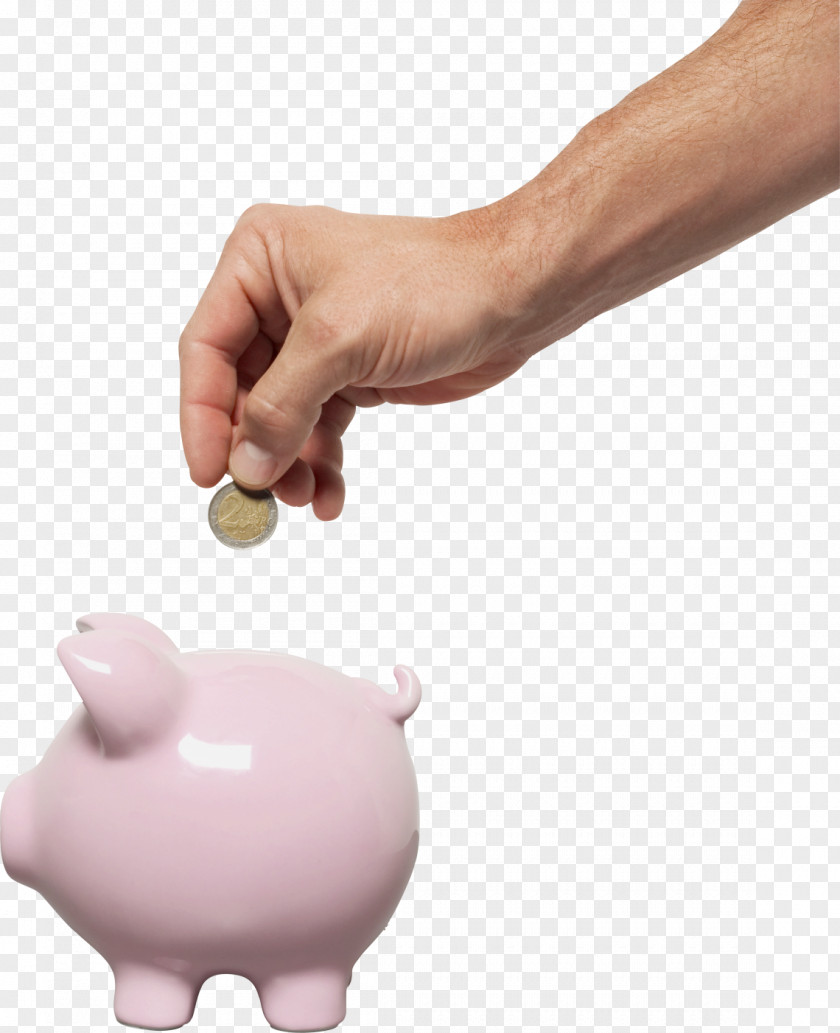 Bank Piggy Savings Account Pension PNG