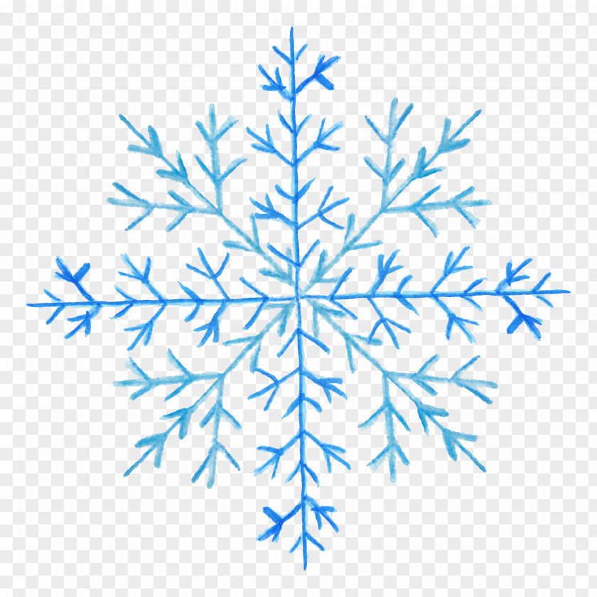 Creative Floral Patterns Blue Snowflake Pattern PNG