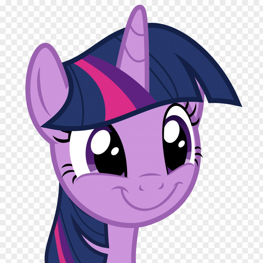 My Little Pony Twilight Sparkle Rainbow Dash Pinkie Pie Rarity PNG