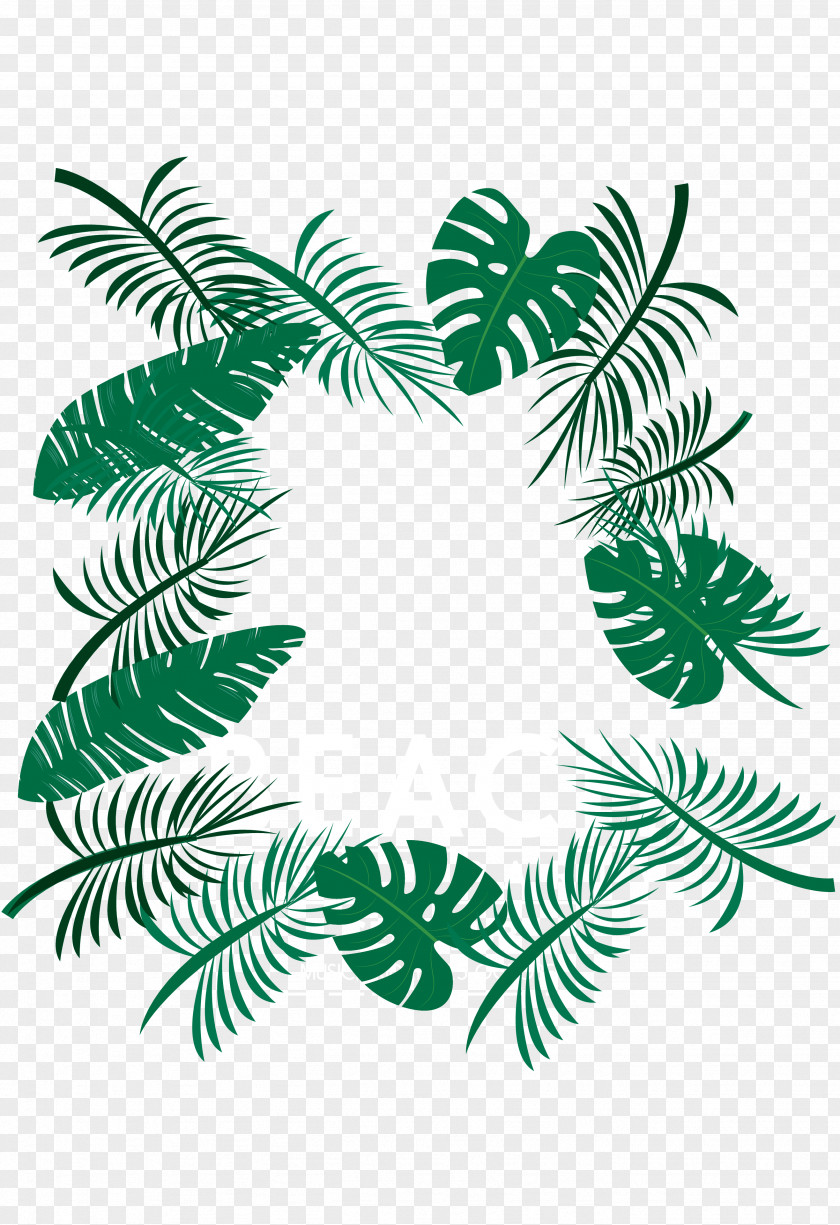 Palm Leaves Download PNG