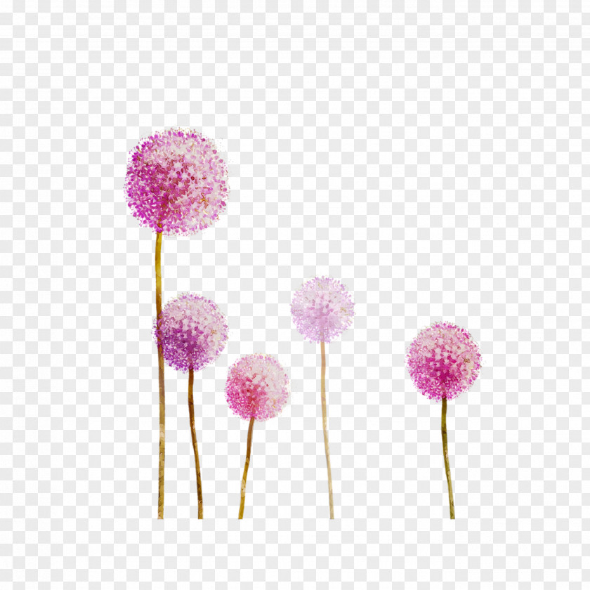 Pink M Cut Flowers PNG