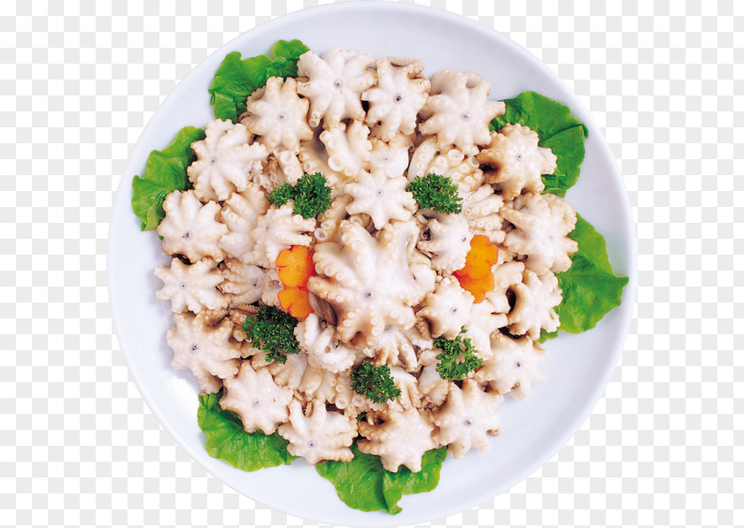 Risotto Octopus Asian Cuisine Seafood Shellfish PNG