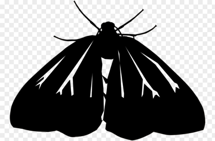 Black Diamond Logo Pest Moth Butterfly Brush-footed Butterflies Clip Art Caterpillar PNG